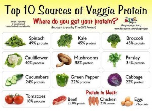 Sources of Protein