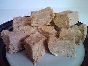 No Bake Peanut Butter Protein Bars