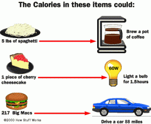 Apparently we've found the answer to energy independence.